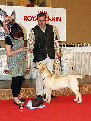 Harpocan Labradores