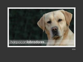 harpocan labradores